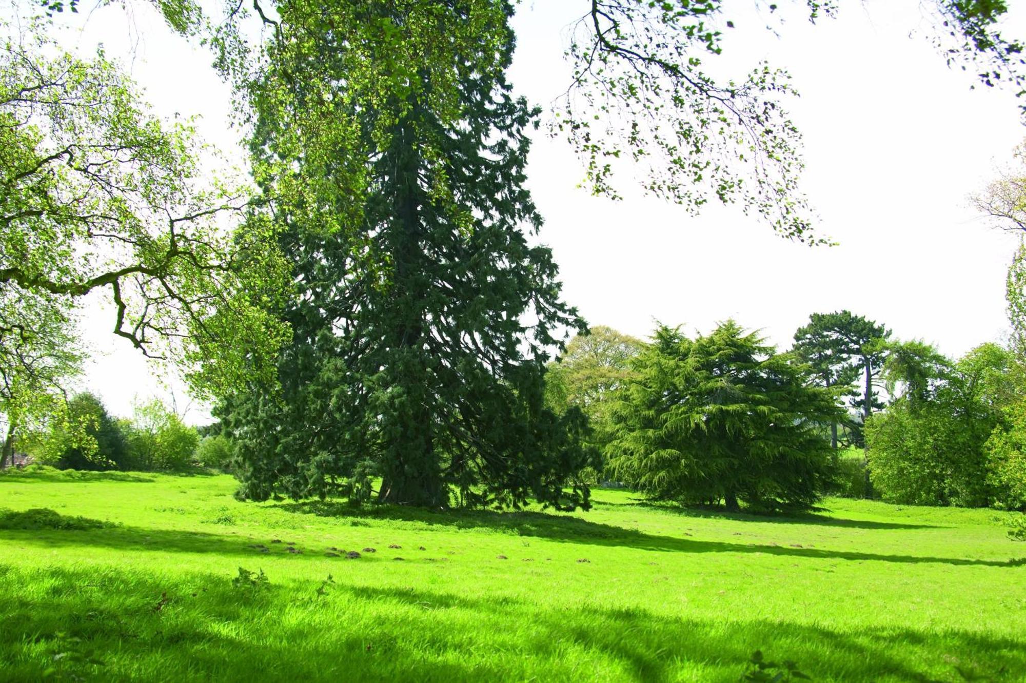 Woodland Grange 호텔 Lillington  외부 사진